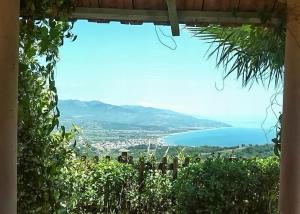 Táj Show holiday homes közelében