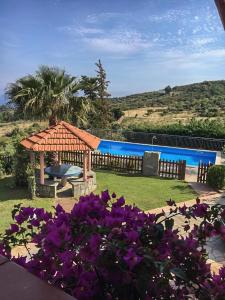 The swimming pool at or close to Villa Fiorita