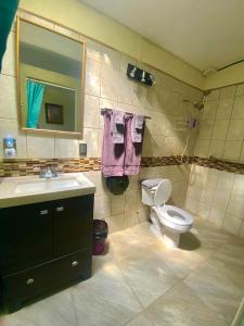 W łazience znajduje się toaleta, umywalka i lustro. w obiekcie Casa Vida Bella w mieście Chapala