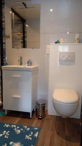 a bathroom with a toilet and a sink and a mirror at Studio calme in Pleine-Fougères