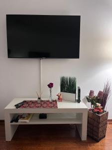 TV a/nebo společenská místnost v ubytování Kalemegdan centar