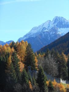a view of a mountain with trees and snow at Appartamento Castellaccio in Ponte di Legno