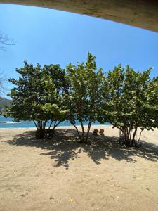 山林小屋周边自然景观