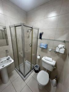 een badkamer met een douche, een toilet en een wastafel bij 29 Cill Ard Bohermore Galway City in Galway