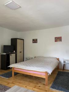 Postel nebo postele na pokoji v ubytování Apartmani Nikola Dojkinci