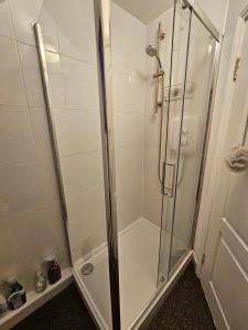 a shower with a glass door in a bathroom at Heart of City Centre Stunning View in Galway
