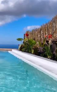 una piscina con fiori e l'oceano sullo sfondo di Villa Ocean Breeze a Firgas
