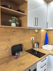 Kuchyň nebo kuchyňský kout v ubytování Ana apartman