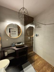 Un baño con ducha, lavabo y espejo. en Altoria Sunset Gdynia, en Gdynia 22 fotos más