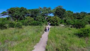 Foto dalla galleria di Hyenas Howl Cabins & Campground a Chobe Altre 10 foto