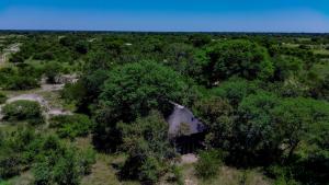 an aerial view of a house in the woods at Hyenas Howl Cabins in Muchenje