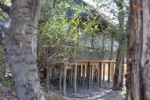 Foto dalla galleria di Hyenas Howl Cabins & Campground a Chobe