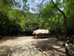 山林小屋周边自然景观