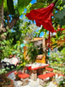 HI Hostel Chapada外面的花园