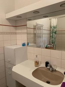 a bathroom with a sink and a mirror at Les Studios de Soizick in Amboise