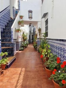 Un couloir d'un bâtiment avec des fleurs en pots dans l'établissement Apartamento céntrico y sencillo en El Puerto, à El Puerto de Santa María