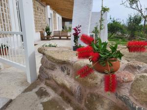 uma parede de pedra com flores vermelhas num vaso em Al Panorama di Ercole em Monte di Procida