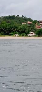 a horse walking on the beach near the water at Belissima Suite frente ao mar, Praia Linda Gamboa in Cayru