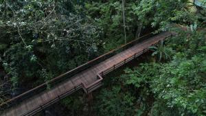 an overhead view of a wooden bridge in the forest at Chachagua Rainforest Hotel & Hot Springs in Fortuna