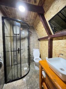 a bathroom with a shower and a toilet and a sink at Riverside house in Akcaabat