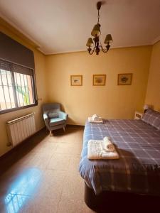 um quarto com uma cama, uma cadeira e uma janela em At Shivarita em Cáceres