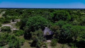an aerial view of a house in the woods at Hyenas howl campsite in Muchenje