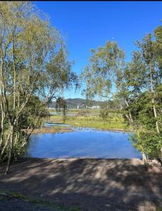 a pond in the middle of a field with trees at Cabañas Borde Río Jacussi in Concepción