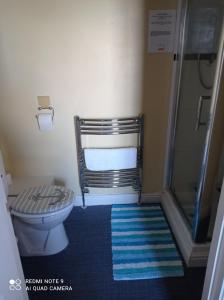 een kleine badkamer met een toilet en een douche bij Hope & Anchor, Hadrian's Wall, Port Carlisle, Solway Firth, Area of Natural Beauty in Port Carlisle