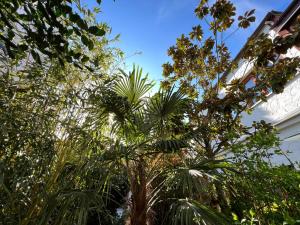 Φυσικό τοπίο κοντά σε αυτό το διαμέρισμα