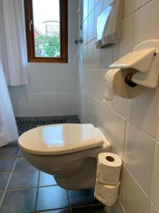 a white toilet in a bathroom with a window at Gästehaus EinsA in Celle
