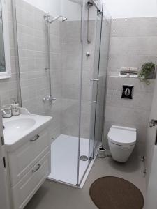 Vannituba majutusasutuses Seaside family friendly house with a swimming pool Orebic, Peljesac - 23009