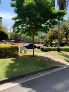 un árbol sentado al lado de una calle en Flat Manacas Granja Brasil Itaipava, en Itaipava