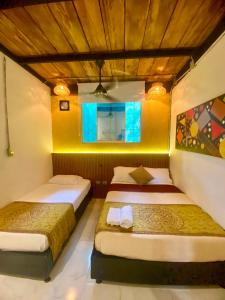 two beds in a room with yellow walls and wooden ceilings at Coffee House Minca in Minca