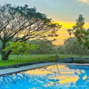 Sigiriya Elegant Resort游泳池或附近泳池