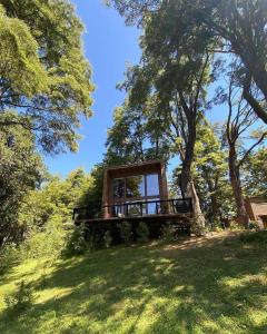a tree house in the middle of a field at Loft Coigüe, Lodge Pucón Santos del Huife in Pucón +11 photos