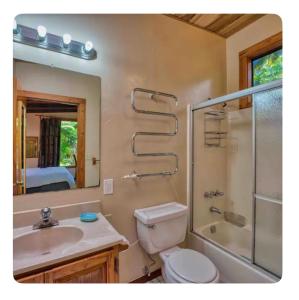 a bathroom with a toilet and a shower and a sink at The Pacifica Inn in Volcano