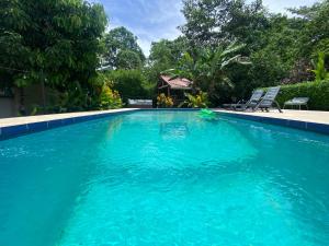 een groot blauw zwembad met stoelen en bomen bij Finca Cristal con Piscina Room Blue in Puerto Viejo