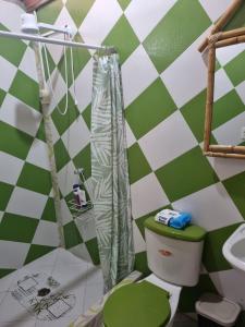 a green and white bathroom with a toilet and a sink at Rancho Mi Cielo 
