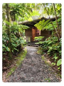 einen Weg, der zu einer Hütte mit einer Holztür führt in der Unterkunft The Pacifica Inn in Volcano