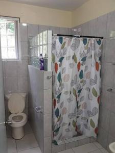 a bathroom with a shower curtain with a toilet at The Essence of Quiet and Comfort in Roseau