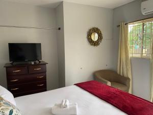 a bedroom with a bed and a tv and a chair at Suncress Bed and Breakfast in Kingston