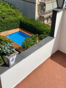 einen kleinen Pool auf einem Balkon mit Pflanzen in der Unterkunft Sky and Green Luxury Apartament in Boscoreale
