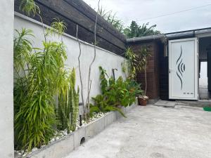 Una porta per una casa con delle piante sopra di la caz à David a Trois Bassins