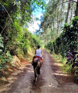 una persona montando un caballo por un camino de tierra en Hotel Fazenda Rancho Mineiro, en Engenheiro Paulo de Frontin