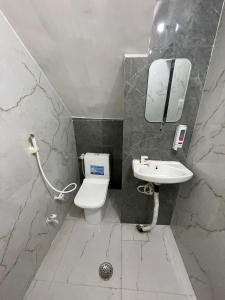 een badkamer met een wastafel, een toilet en een spiegel bij Rukmani Villas Group of Rukmani home stay in Mathura