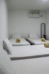 3 posti letto in una stanza con pareti bianche di Guajira Sunset Hostal a Ríohacha