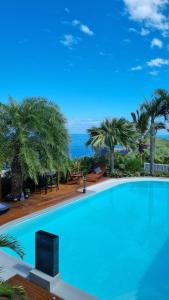 une grande piscine avec des palmiers et l'océan dans l'établissement Maison d'hôtes Villa des Mascareignes, à Petite Île
