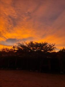 un tramonto con un albero in primo piano di willkasunco Casa Hospedaje a Amaicha del Valle