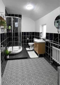 a black and white bathroom with a shower and a toilet at King-size bed en- suit, Luxury refurbished home in Balderton