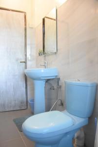 W łazience znajduje się niebieska toaleta i umywalka. w obiekcie Kandy Blossom Residence w mieście Kandy
